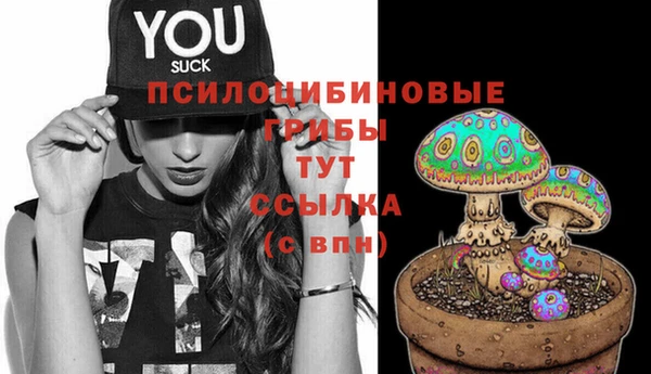 мескалин Нефтегорск