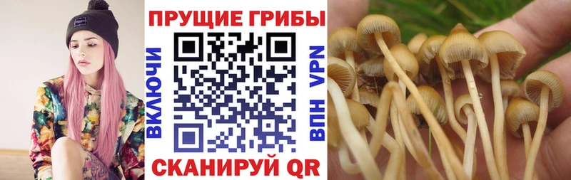 Псилоцибиновые грибы ЛСД  закладка  Электросталь 